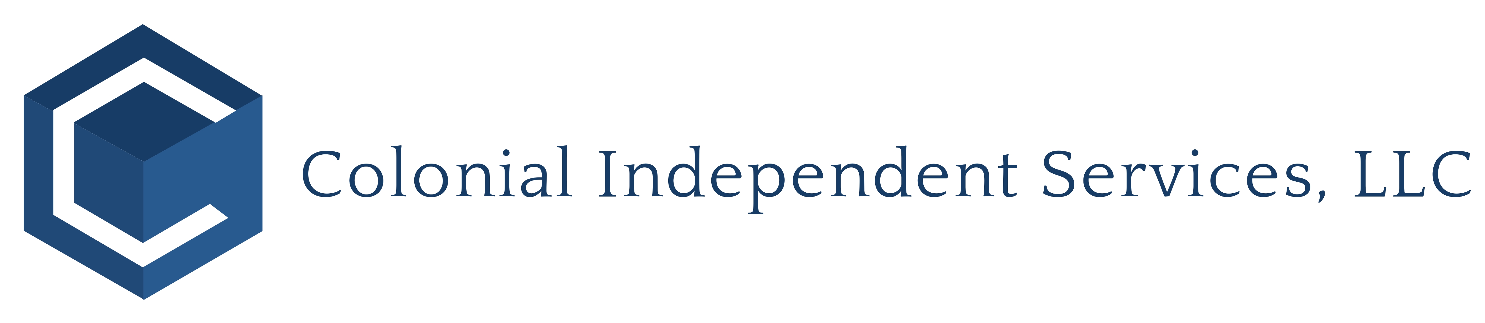 Independent trustee manager director springing member services